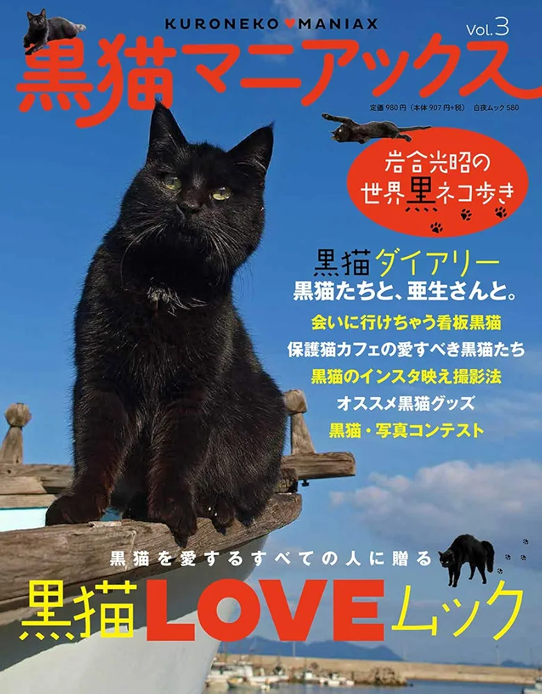 月刊黒猫様　村田森さん　玉露茶器 911tUSfNgwL.jpg
